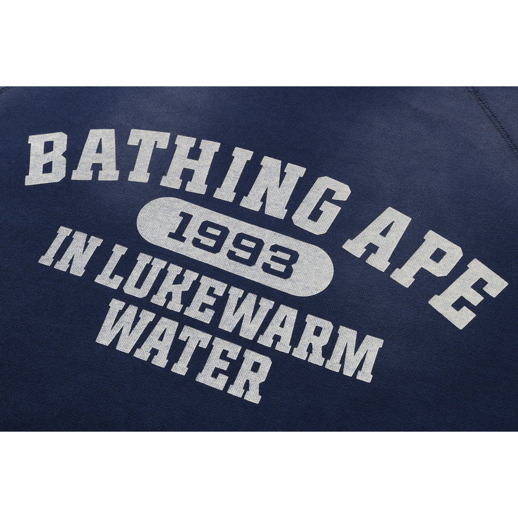 BAPE DESTROY WASHED EFFECT RELAXED FIT CREWNECK SWEATSHIRT MENS